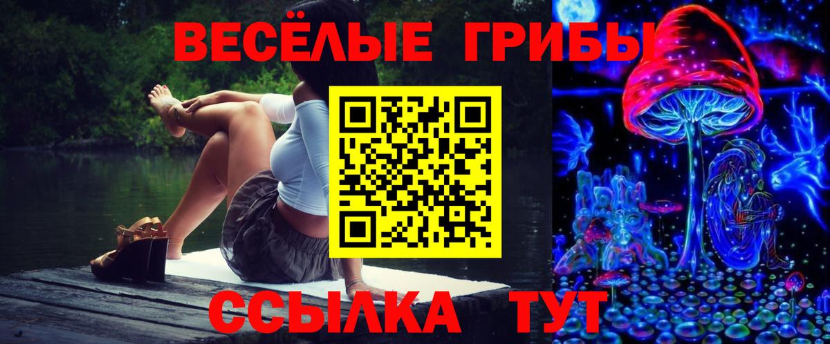 Псилоцибиновые грибы мухоморы Рубцовск